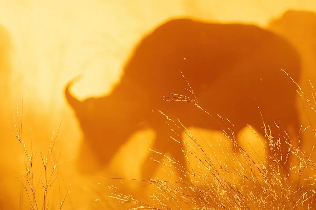 Image for Edinburgh Photographic Society