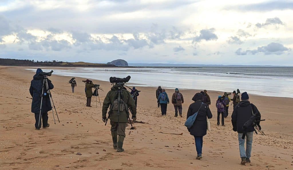 Image for The Royal Society for the Protection of Birds